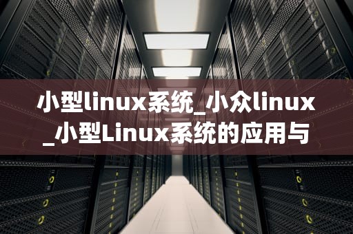 小型linux系统_小众linux_小型Linux系统的应用与实践