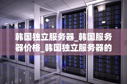 韩国独立服务器_韩国服务器价格_韩国独立服务器的优势及其在全球化背景下的重要性