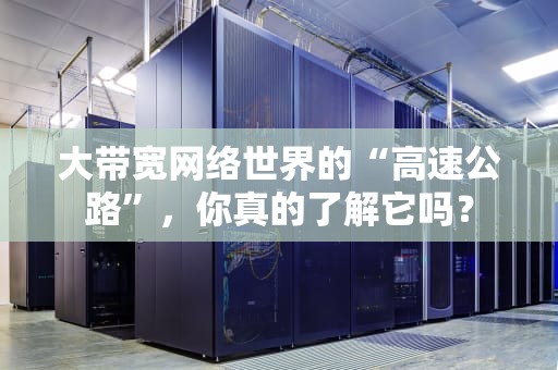大带宽网络世界的“高速公路”，你真的了解它吗？