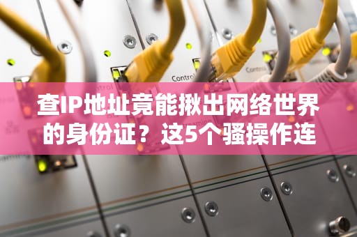 查IP地址竟能揪出网络世界的身份证？这5个骚操作连黑客都直呼内行！