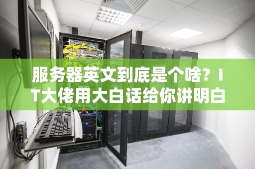 服务器英文到底是个啥？IT大佬用大白话给你讲明白！