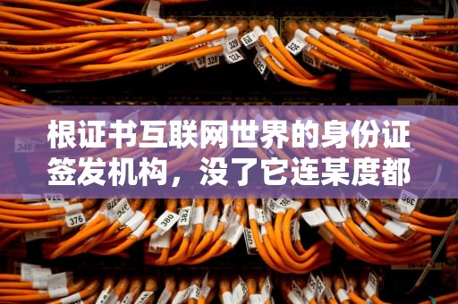 根证书互联网世界的身份证签发机构，没了它连某度都打不开？