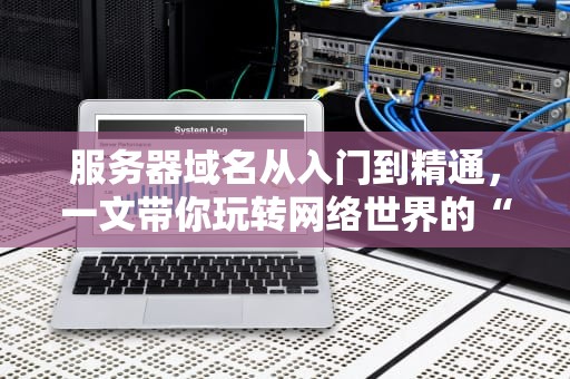 服务器域名从入门到精通，一文带你玩转网络世界的“门牌号”