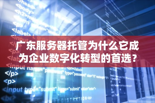 广东服务器托管为什么它成为企业数字化转型的首选？