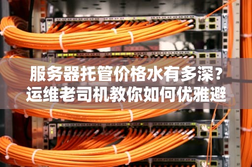 服务器托管价格水有多深？运维老司机教你如何优雅避坑