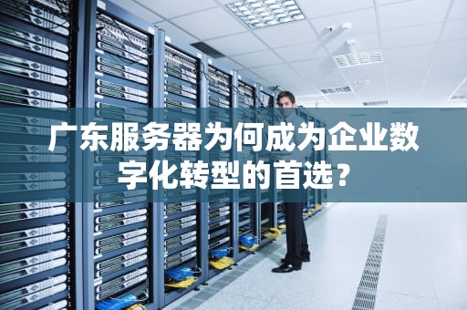 广东服务器为何成为企业数字化转型的首选？
