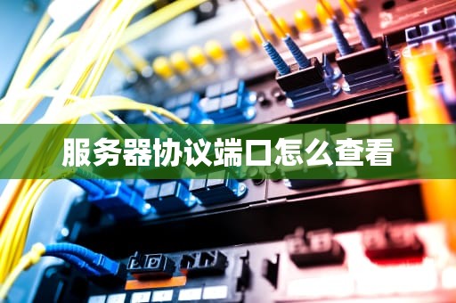 服务器协议端口怎么查看