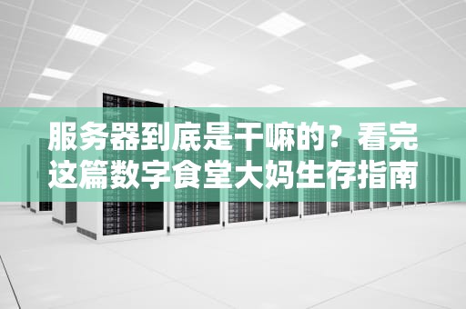 服务器到底是干嘛的？看完这篇数字食堂大妈生存指南你就懂了