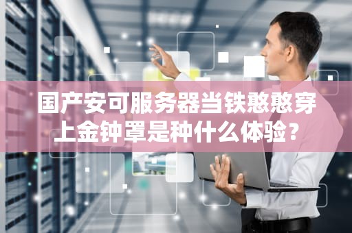 国产安可服务器当铁憨憨穿上金钟罩是种什么体验？