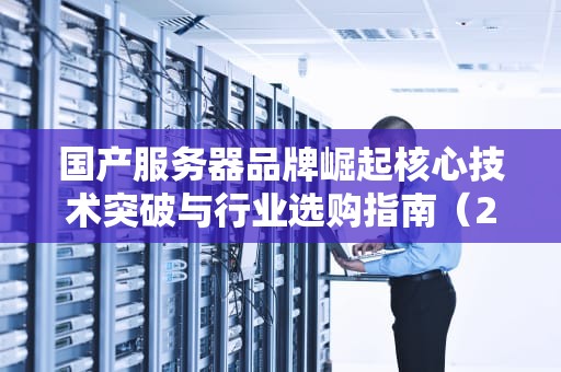 国产服务器品牌崛起核心技术突破与行业选购指南（2023深度解析）