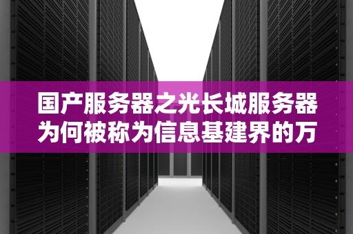 国产服务器之光长城服务器为何被称为信息基建界的万里长城？