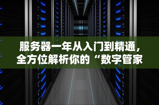 服务器一年从入门到精通，全方位解析你的“数字管家”