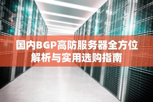 国内BGP高防服务器全方位解析与实用选购指南