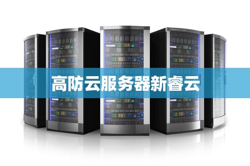高防云服务器新睿云