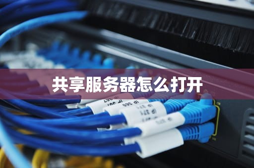 共享服务器怎么打开