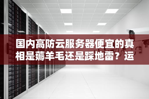 国内高防云服务器便宜的真相是薅羊毛还是踩地雷？运维老炮儿亲测报告