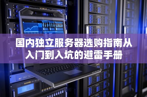 国内独立服务器选购指南从入门到入坑的避雷手册