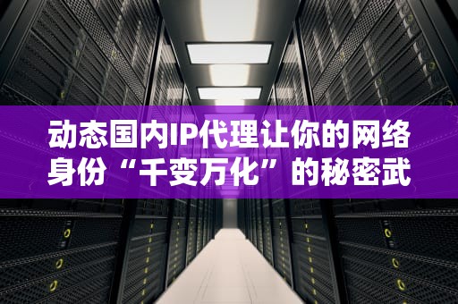 动态国内IP代理让你的网络身份“千变万化”的秘密武器