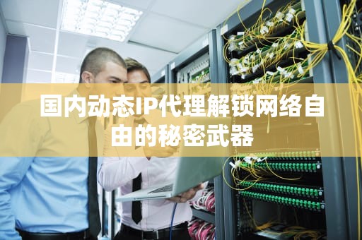 国内动态IP代理解锁网络自由的秘密武器