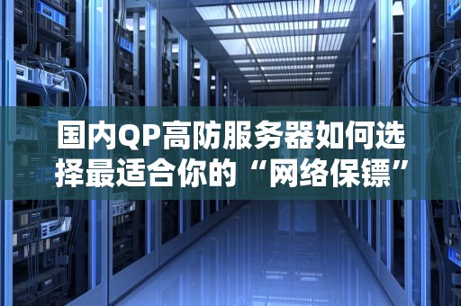 国内QP高防服务器如何选择最适合你的“网络保镖”？