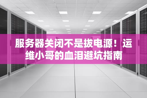 服务器关闭不是拔电源！运维小哥的血泪避坑指南