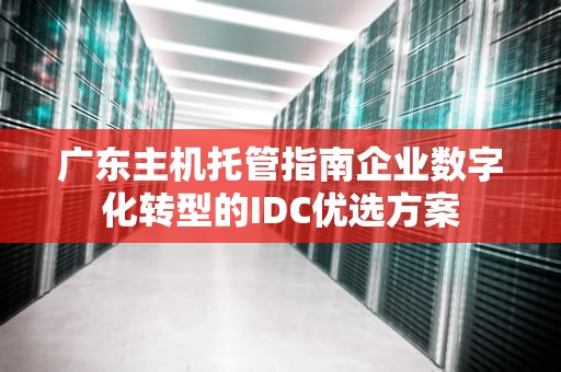 广东主机托管指南企业数字化转型的IDC优选方案