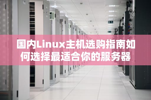 国内Linux主机选购指南如何选择最适合你的服务器
