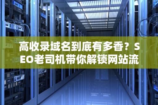 高收录域名到底有多香？SEO老司机带你解锁网站流量密码