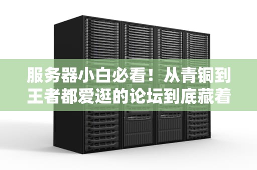 服务器小白必看！从青铜到王者都爱逛的论坛到底藏着什么宝藏？