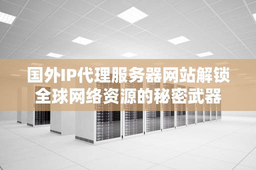 国外IP代理服务器网站解锁全球网络资源的秘密武器
