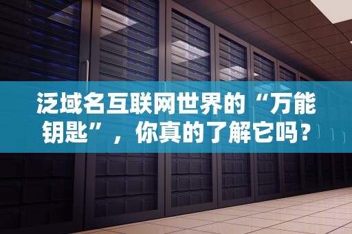 泛域名互联网世界的“万能钥匙”，你真的了解它吗？