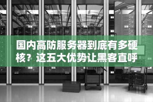 国内高防服务器到底有多硬核？这五大优势让黑客直呼卷不动了