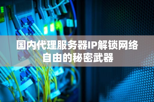 国内代理服务器IP解锁网络自由的秘密武器