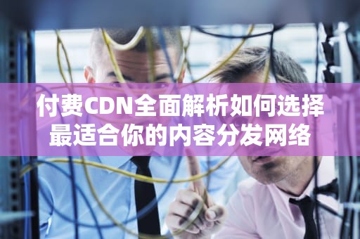付费CDN全面解析如何选择最适合你的内容分发网络