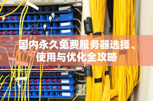 国内永久免费服务器选择、使用与优化全攻略