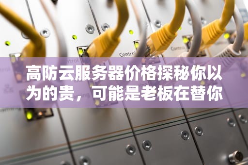高防云服务器价格探秘你以为的贵，可能是老板在替你挡子弹