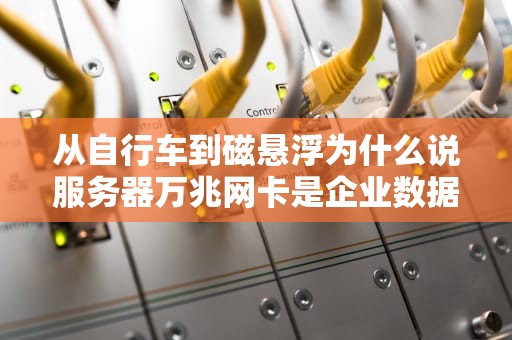 从自行车到磁悬浮为什么说服务器万兆网卡是企业数据中心的任督二脉？