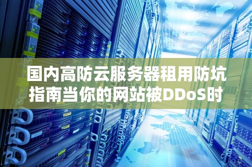 国内高防云服务器租用防坑指南当你的网站被DDoS时会发生什么鬼故事？