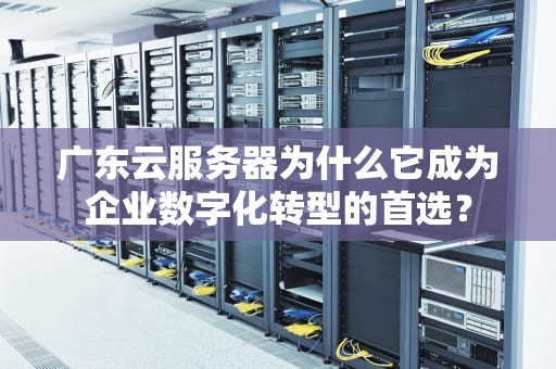 广东云服务器为什么它成为企业数字化转型的首选？
