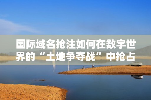 国际域名抢注如何在数字世界的“土地争夺战”中抢占先机？