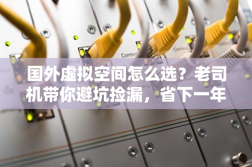 国外虚拟空间怎么选？老司机带你避坑捡漏，省下一年奶茶钱！