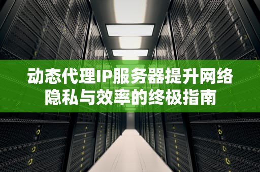 动态代理IP服务器提升网络隐私与效率的终极指南