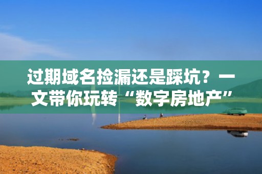 过期域名捡漏还是踩坑？一文带你玩转“数字房地产”