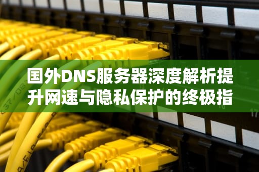 国外DNS服务器深度解析提升网速与隐私保护的终极指南