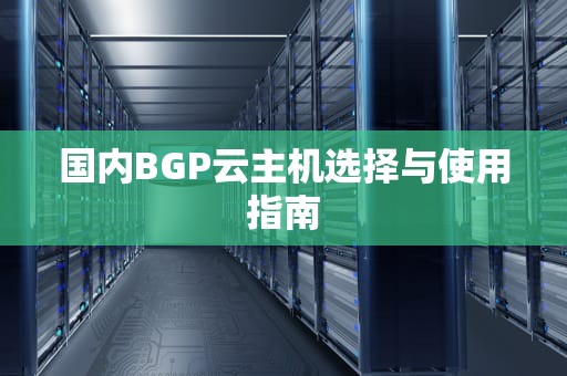 国内BGP云主机选择与使用指南