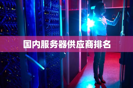 国内服务器供应商排名