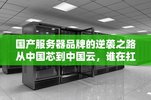 国产服务器品牌的逆袭之路从中国芯到中国云，谁在扛起自主可控大旗？
