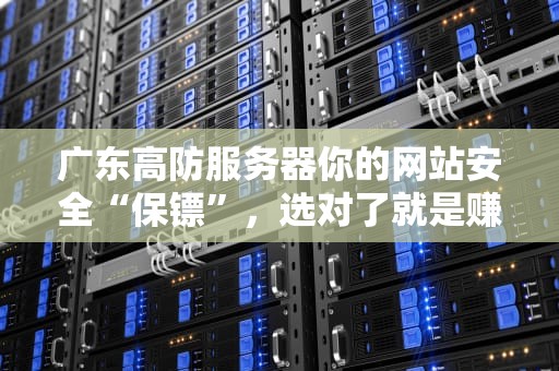 广东高防服务器你的网站安全“保镖”，选对了就是赚到！