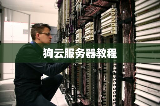 狗云服务器教程