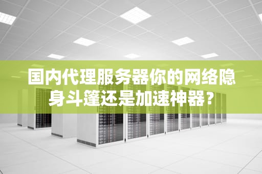 国内代理服务器你的网络隐身斗篷还是加速神器？